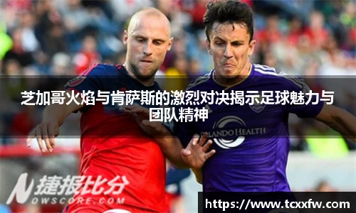 云霄体育官网